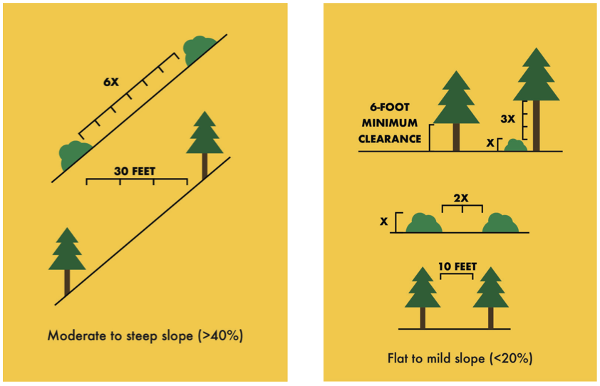 Vertical and horizontal vegetation spacing guidance